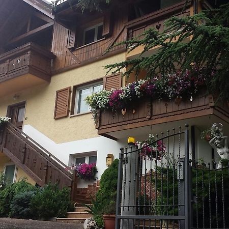 B&B Al Cedro Sporminore Exteriör bild